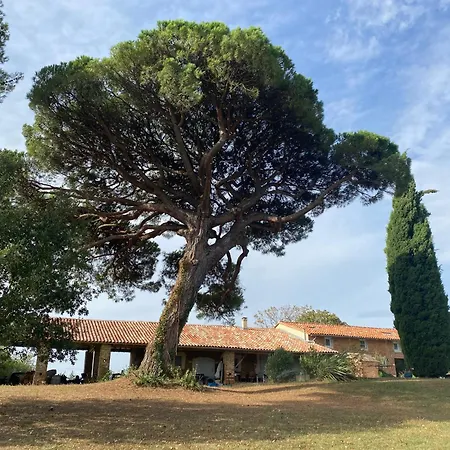 Maison Proche Toulouse Сasa de vacaciones